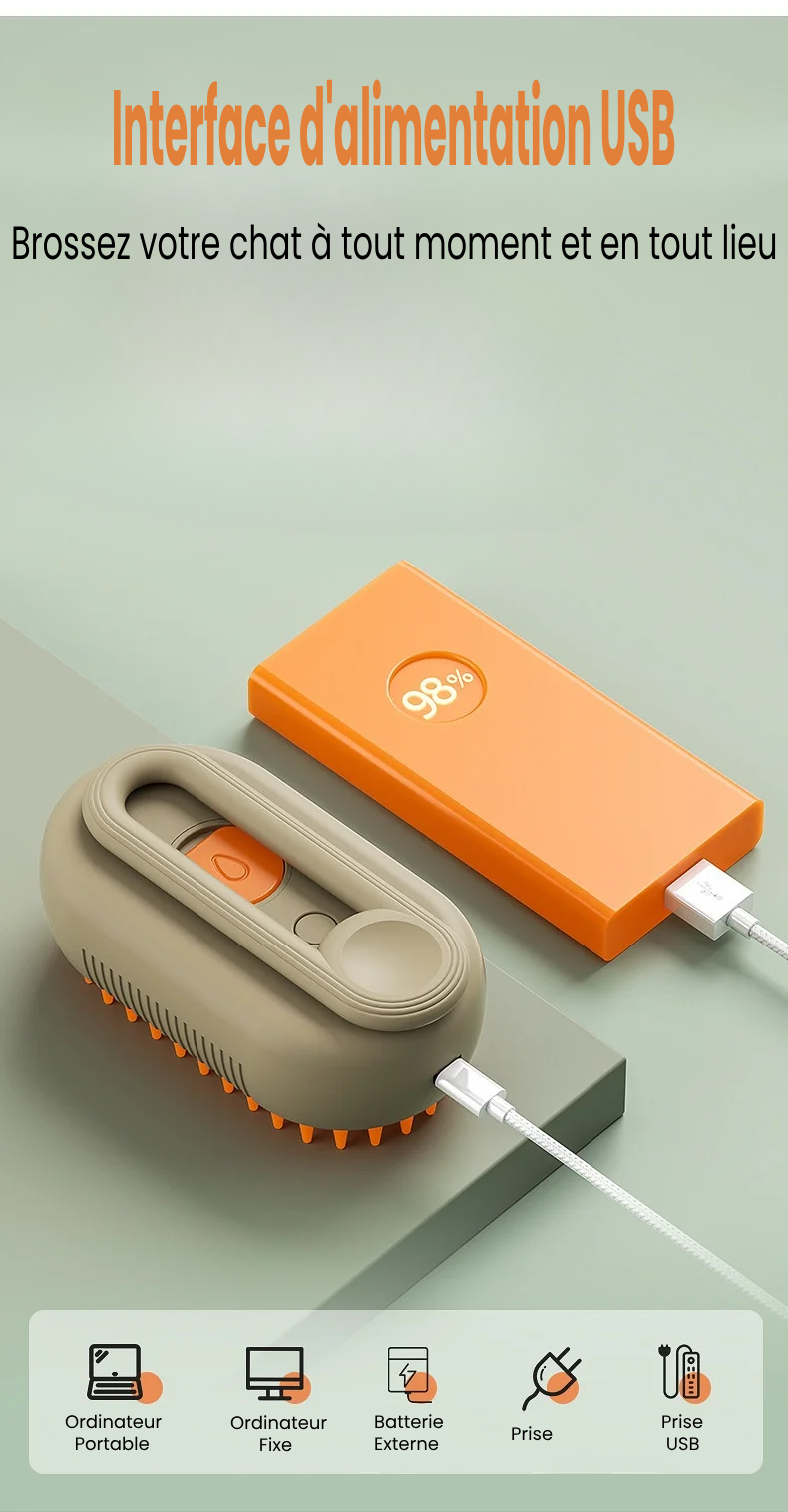 Brosse à Vapeur pour Chat et Chien