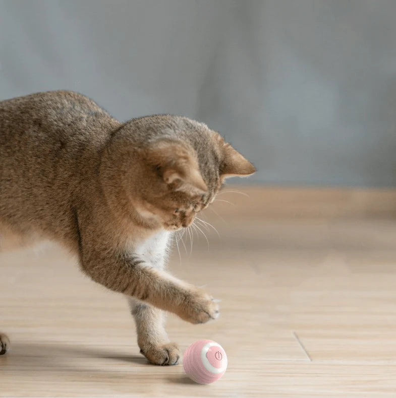 Mow'Ball - La balle intelligente interactive