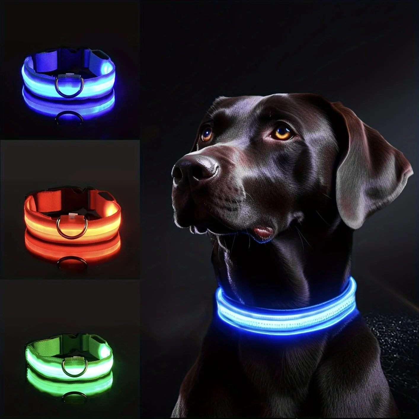 🐕🔆 Collier Lumineux à LED pour Chien