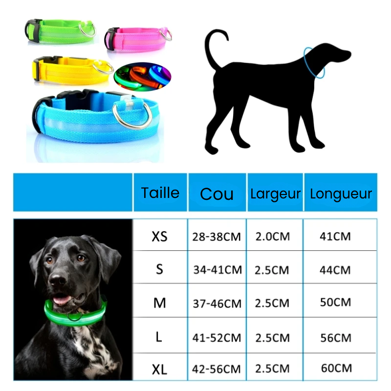 🐕🔆 Collier Lumineux à LED pour Chien