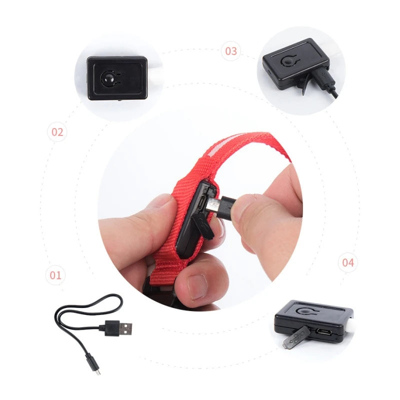 Collier Lumineux à LED pour Chien