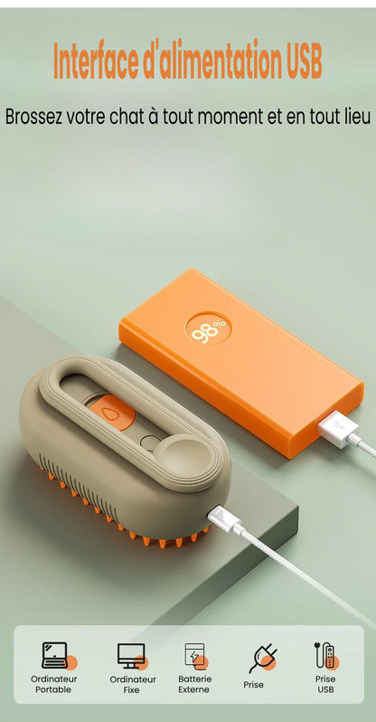 🐱🧶 BROSSE À VAPEUR POUR CHAT ET CHIEN