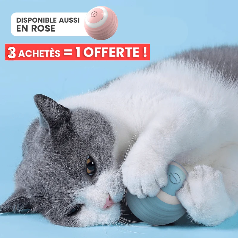 🐈🎮 Mow'Ball - La balle intelligente interactive