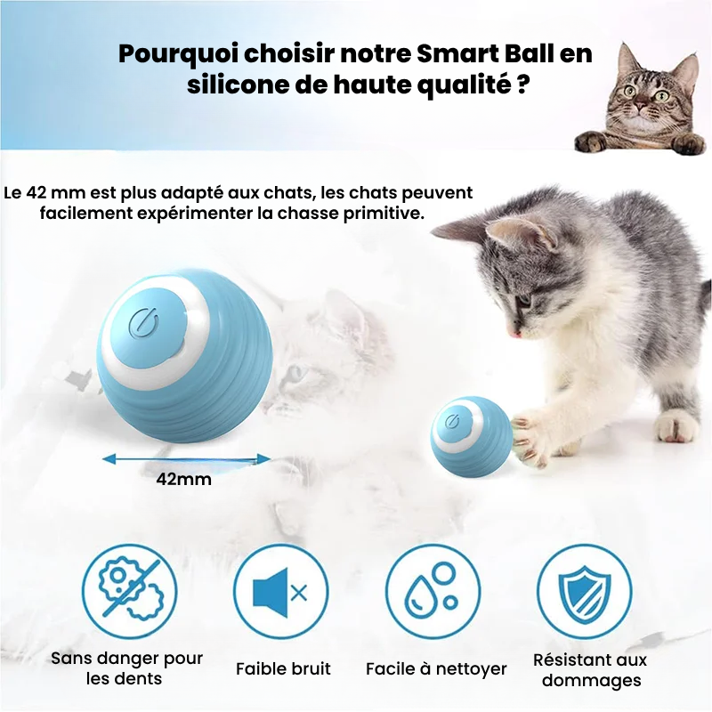 🐈🎮 Mow'Ball - La balle intelligente interactive