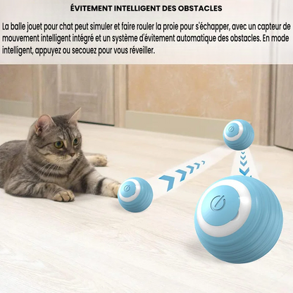 🐈🎮 Mow'Ball - La balle intelligente interactive
