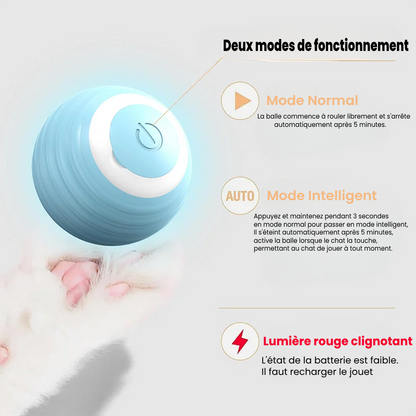 🐈🎮 Mow'Ball - La balle intelligente interactive