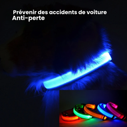 🐕🔆 Collier Lumineux à LED pour Chien