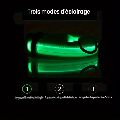 🐕🔆 Collier Lumineux à LED pour Chien