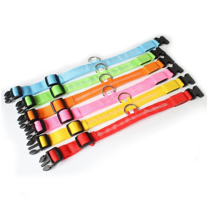 🐕🔆 Collier Lumineux à LED pour Chien