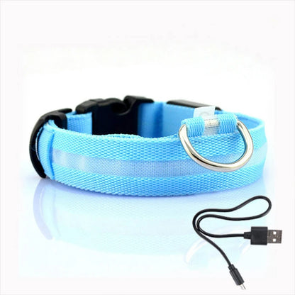 🐕🔆 Collier Lumineux à LED pour Chien