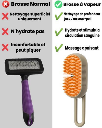 🐱🧶 BROSSE À VAPEUR POUR CHAT ET CHIEN